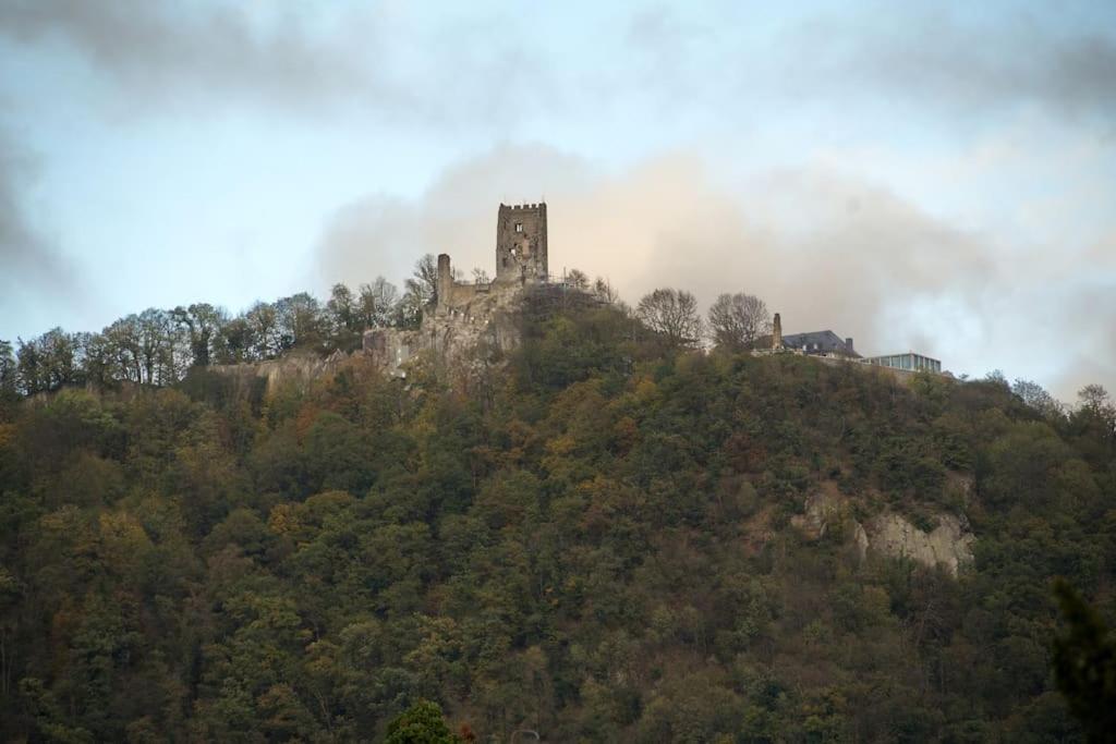 Wohlfuehlwohnung Naehe Des Rheins *